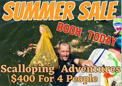Scalloping SpeciL 2022-23
